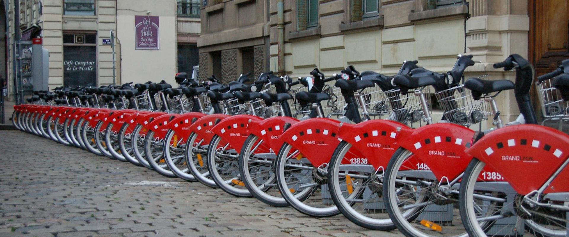 Bicycle Rentals and Bike Lanes