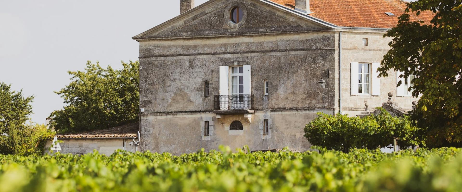 French Gastronomy and Wine Culture