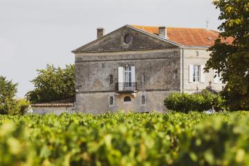 1. A stone chateau with a terracotta roof and white shutters stands behind rows of green grapevines under an overcast sky.