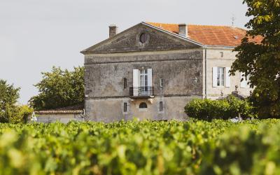 A stone chateau with a terracotta roof and white shutters stands behind rows of green grapevines under an overcast sky.