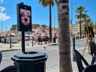 View of the sunny Promenade du Mourillon in Toulon with palm trees, outdoor cafe seating, and a marina.