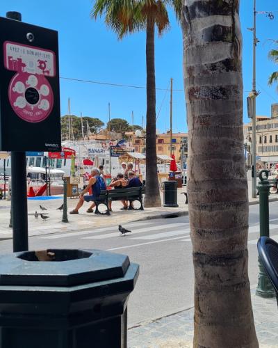 View of the sunny Promenade du Mourillon in Toulon with palm trees, outdoor cafe seating, and a marina.