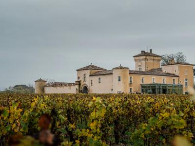 1. A large, multi-winged stone château with a prominent tower and terracotta roof sits behind rows of vineyards under an overcast sky.