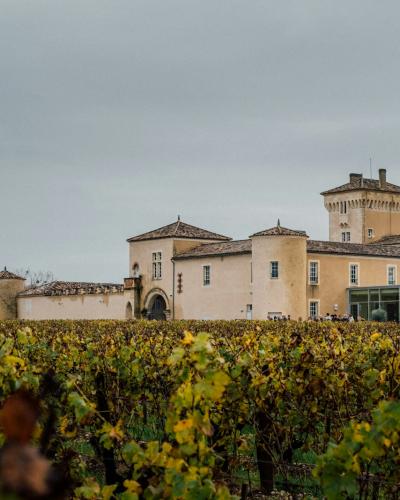 1. A large, multi-winged stone château with a prominent tower and terracotta roof sits behind rows of vineyards under an overcast sky.
