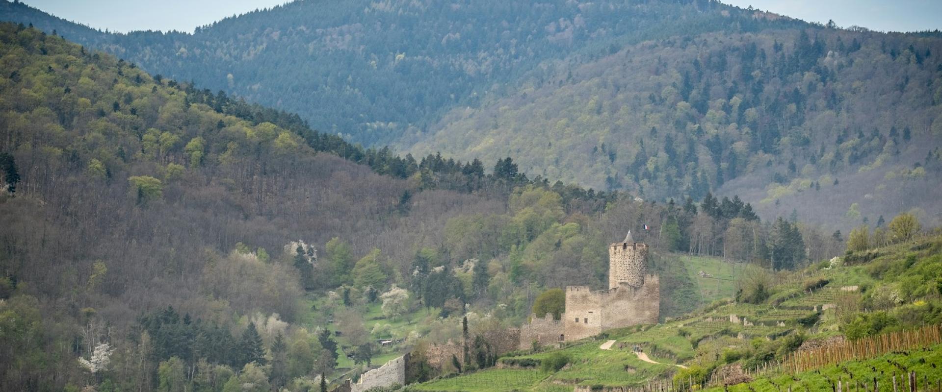 Alsace Wine Route Tour