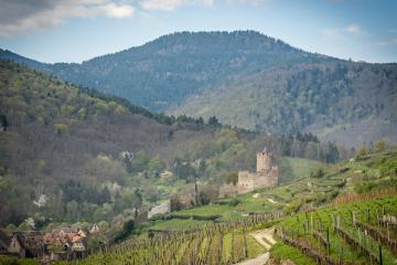 1. A stone castle ruin situated on a hillside overlooking terraced vineyards, with a forested mountain in the background and a small village visible in the lower left.