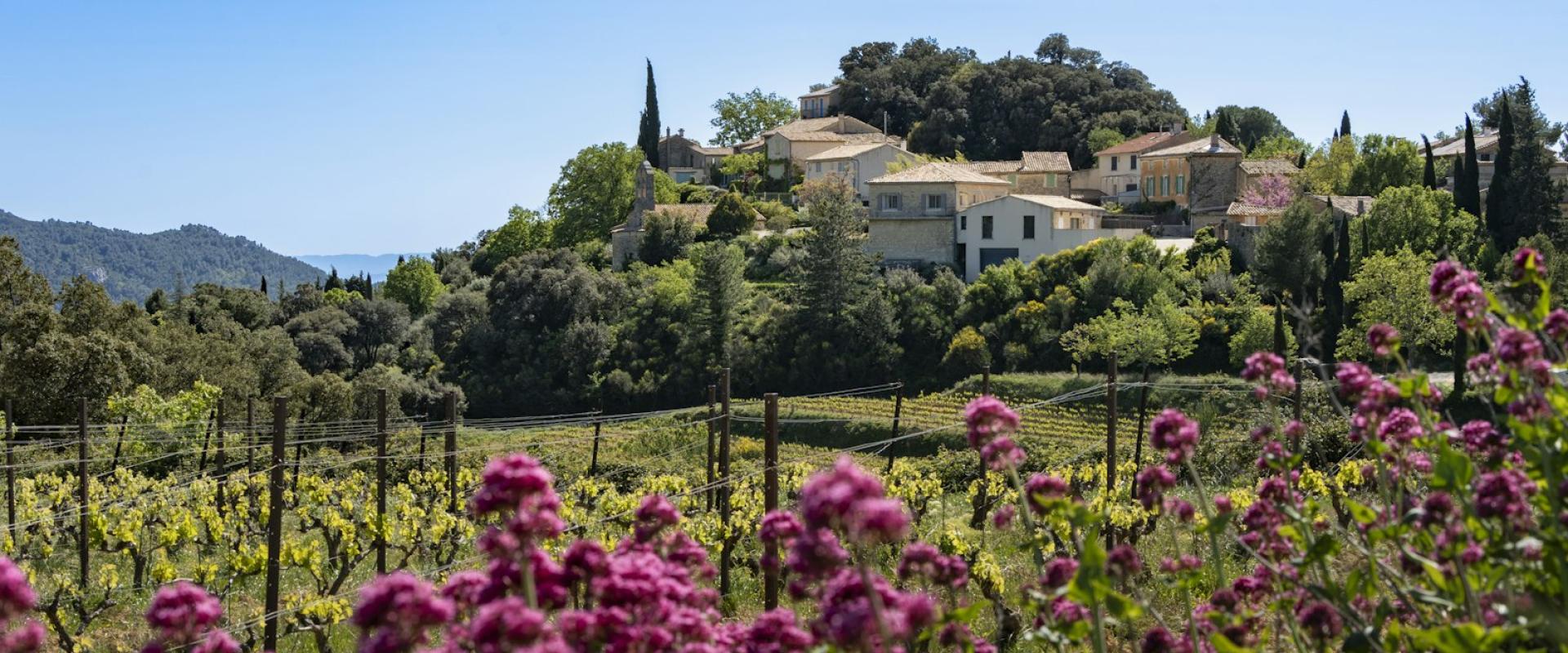 Families in Provence