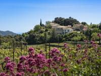Families in Provence