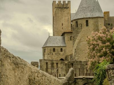 The image shows the stone towers and fortified walls of the Château Comtal within the Cité de Carcassonne, with a flowering tree in the foreground.