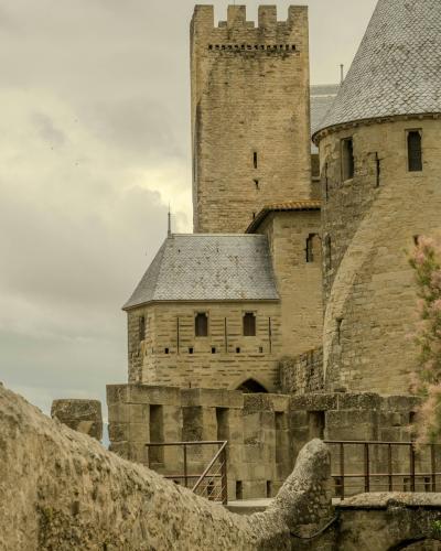 The image shows the stone towers and fortified walls of the Château Comtal within the Cité de Carcassonne, with a flowering tree in the foreground.