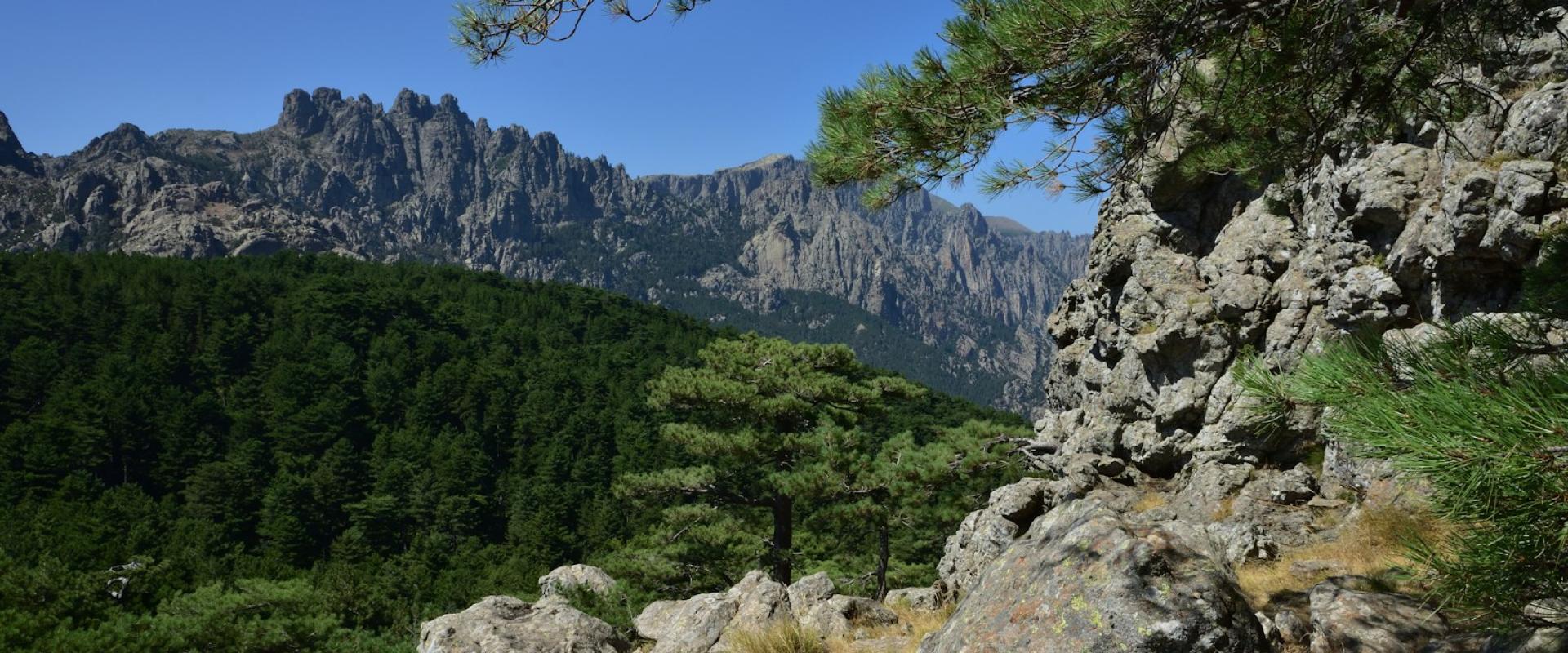 Gorges du Tavignano