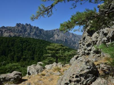 Rocky foreground with pine trees and mountain range.