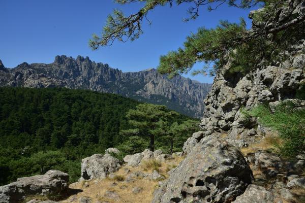 Gorges du Tavignano