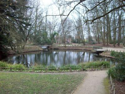 A pond in a park with a small bridge and bare trees, likely Parc de la Châtaigneraie in Montauban.