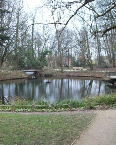 A pond in a park with a small bridge and bare trees, likely Parc de la Châtaigneraie in Montauban.