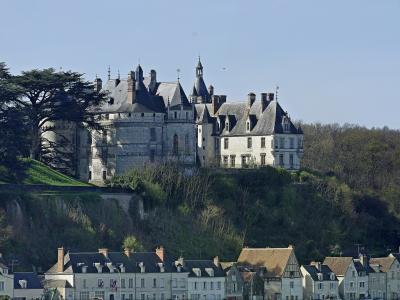 A large stone château with conical slate roofs and towers sits atop a steep, wooded cliff overlooking a row of townhouses with French flags.