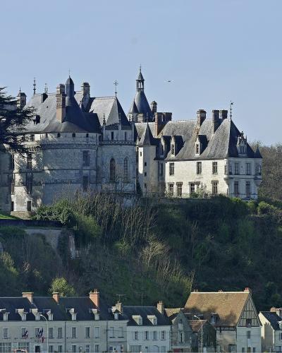 A large stone château with conical slate roofs and towers sits atop a steep, wooded cliff overlooking a row of townhouses with French flags.
