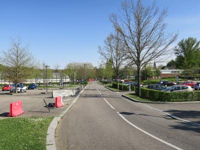 The image shows a paved road with parking areas on either side, lined with young trees and hedges under a clear blue sky, with red plastic barriers visible in the foreground.