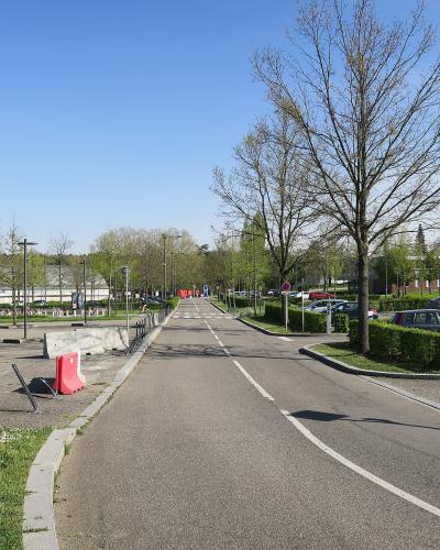 The image shows a paved road with parking areas on either side, lined with young trees and hedges under a clear blue sky, with red plastic barriers visible in the foreground.