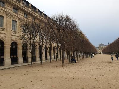 Arcaded colonnade of the Palais-Royal with a tree-lined avenue in the garden, Paris.