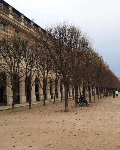 Arcaded colonnade of the Palais-Royal with a tree-lined avenue in the garden, Paris.