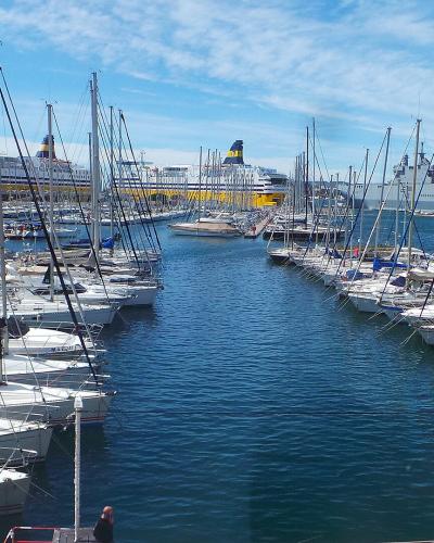 Toulon marina filled with sailboats, a yellow ferry, and the city skyline under a blue sky.