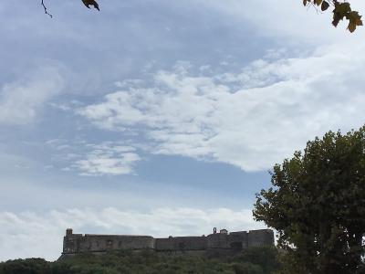 A low-angle view of a stone fortress with crenellated walls and bastions, situated atop a green, tree-covered hill under a cloudy sky, with tree branches framing the top corners.