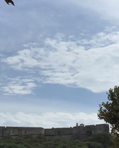 A low-angle view of a stone fortress with crenellated walls and bastions, situated atop a green, tree-covered hill under a cloudy sky, with tree branches framing the top corners.