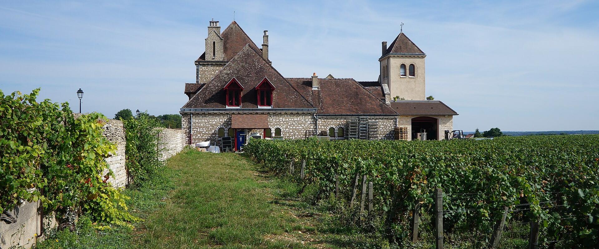 Historic Château du Clos de Vougeot surrounded by vineyards under a blue sky.