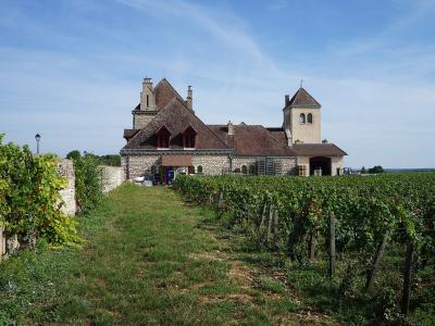 Historic Château du Clos de Vougeot surrounded by vineyards under a blue sky.