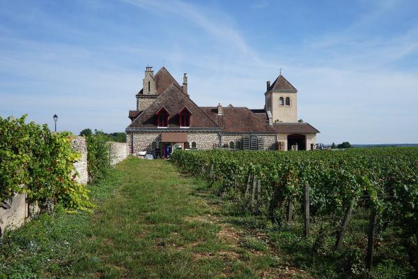 Clos de Vougeot