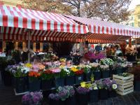 Marché aux Flowers