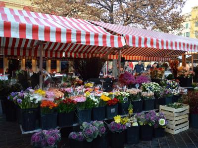 A street flower market stall with red-and-white striped awnings, displaying colorful bouquets and potted plants on a paved plaza, with people browsing and buildings in the background.
