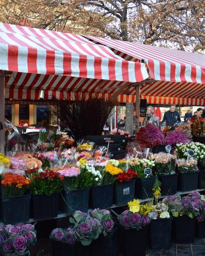 A street flower market stall with red-and-white striped awnings, displaying colorful bouquets and potted plants on a paved plaza, with people browsing and buildings in the background.