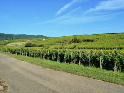 Eguisheim, Pfersigberg