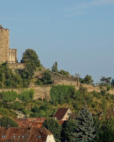 A stone castle ruin with a prominent round tower sits atop a forested hill overlooking a town with red-tiled roofs and a green-domed church in the background.