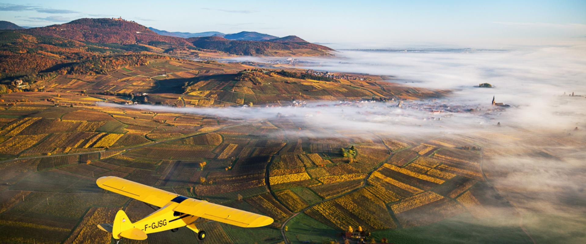 Vignobles d'Alsace (Alsatian Vineyards)