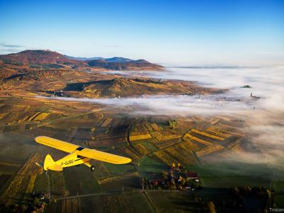 A yellow single-engine aircraft (registration F-GJSG) flying over a patchwork of autumnal vineyards and rolling hills, with a layer of fog covering the valley floor and a fortified hilltop structure visible in the distance; the photographer’s name