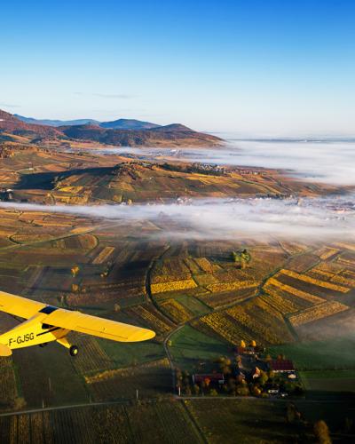 A yellow single-engine aircraft (registration F-GJSG) flying over a patchwork of autumnal vineyards and rolling hills, with a layer of fog covering the valley floor and a fortified hilltop structure visible in the distance; the photographer’s name