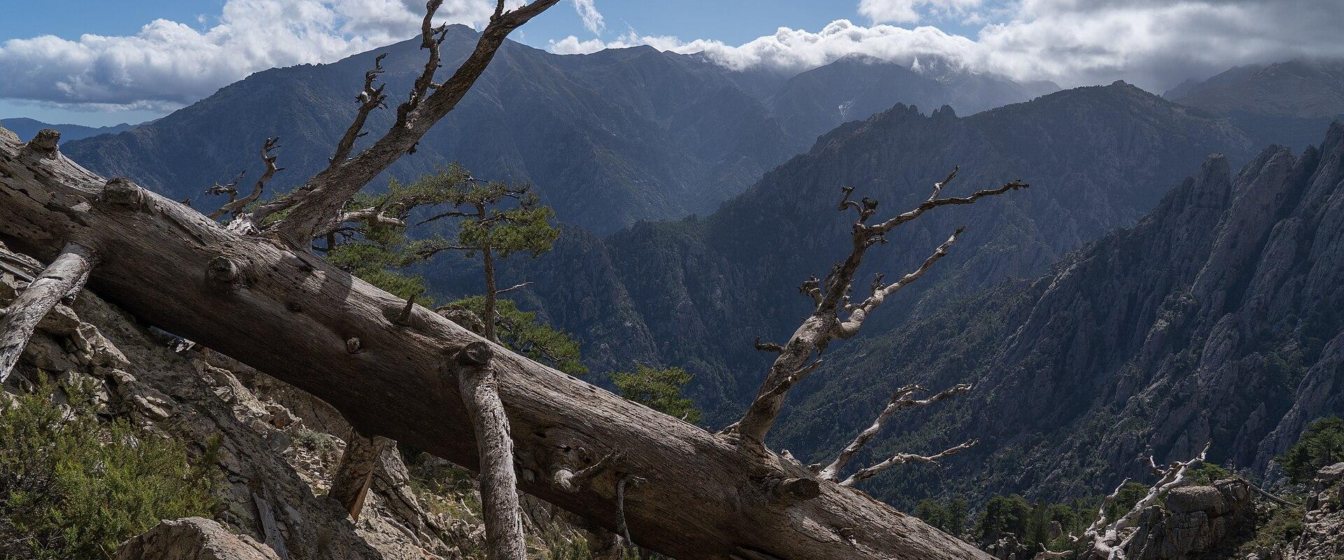Corsica’s Mountain Trails