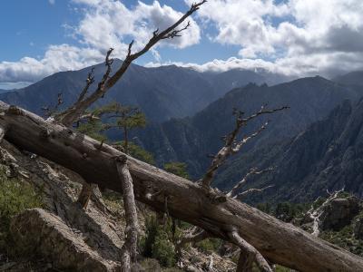 Corsica’s Mountain Trails