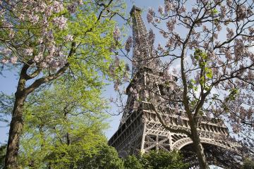 Towers in Paris