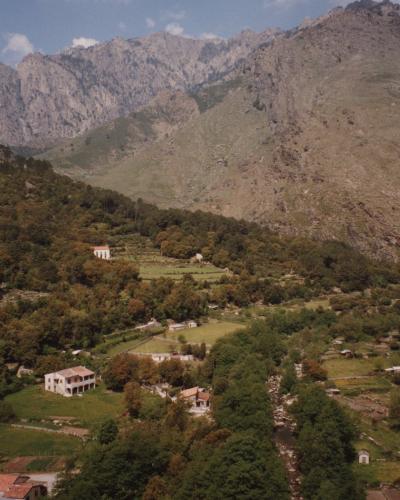 Valley view with stone houses and forested slopes against rugged Corsican mountains.