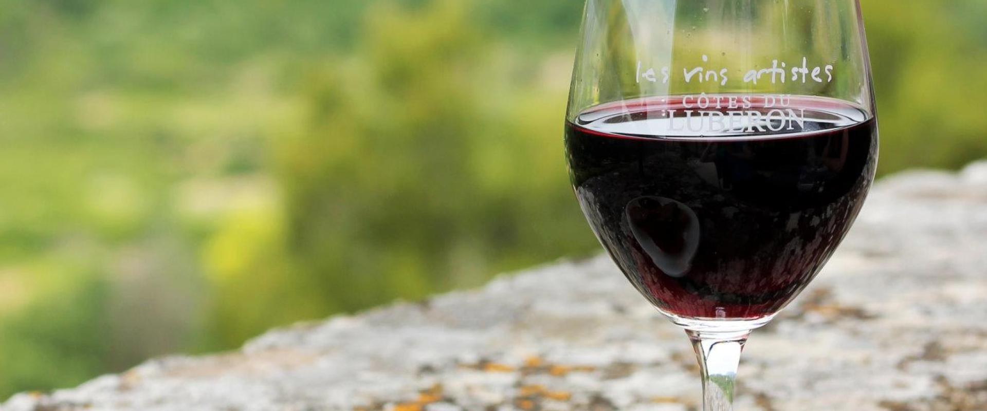 A glass of red wine with "les vins artistes CÔTES DU LUBERON" etched on it, alongside a plate of crostini with spreads, set on a stone ledge overlooking a green, hilly landscape.