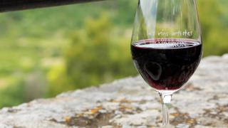 Food & Wine