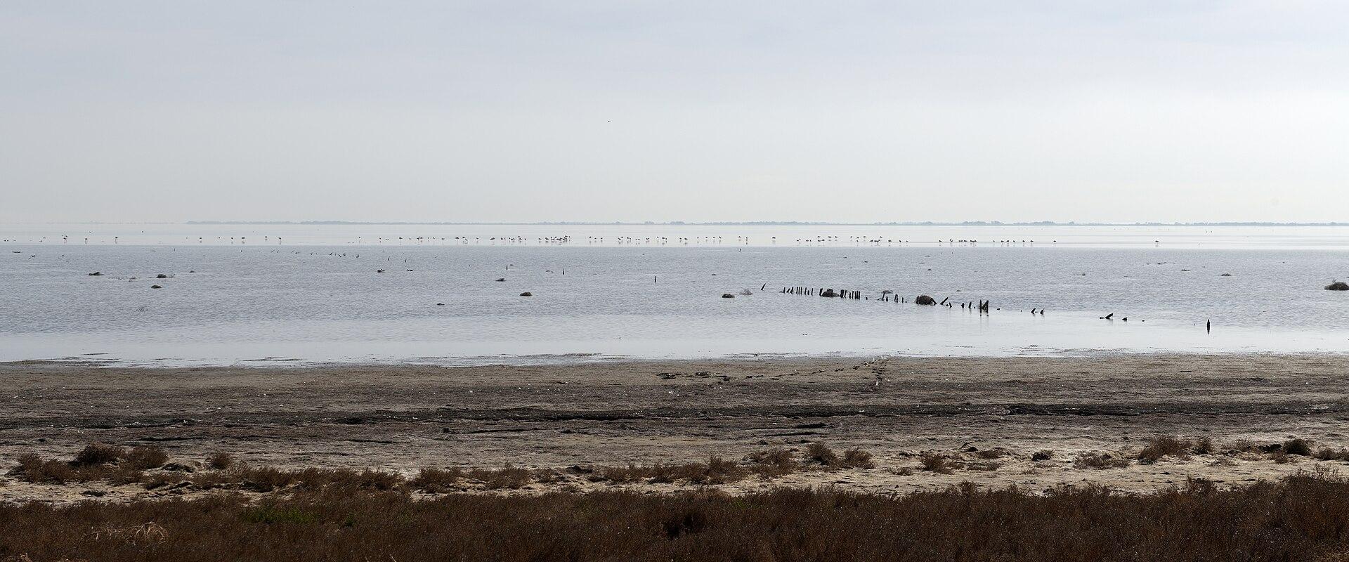 Camargue Regional Natural Park