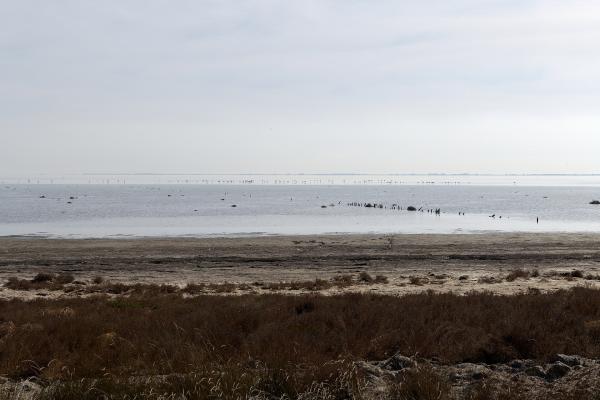 Camargue Regional Natural Park