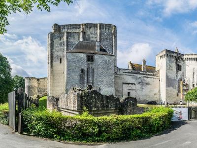 A wide-angle photograph of the Château de Loches, showing its distinctive stone towers and fortified walls under a blue sky with clouds, framed by green trees and hedges in the foreground.