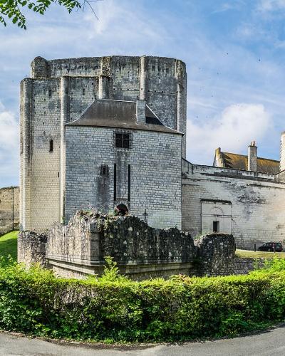 A wide-angle photograph of the Château de Loches, showing its distinctive stone towers and fortified walls under a blue sky with clouds, framed by green trees and hedges in the foreground.