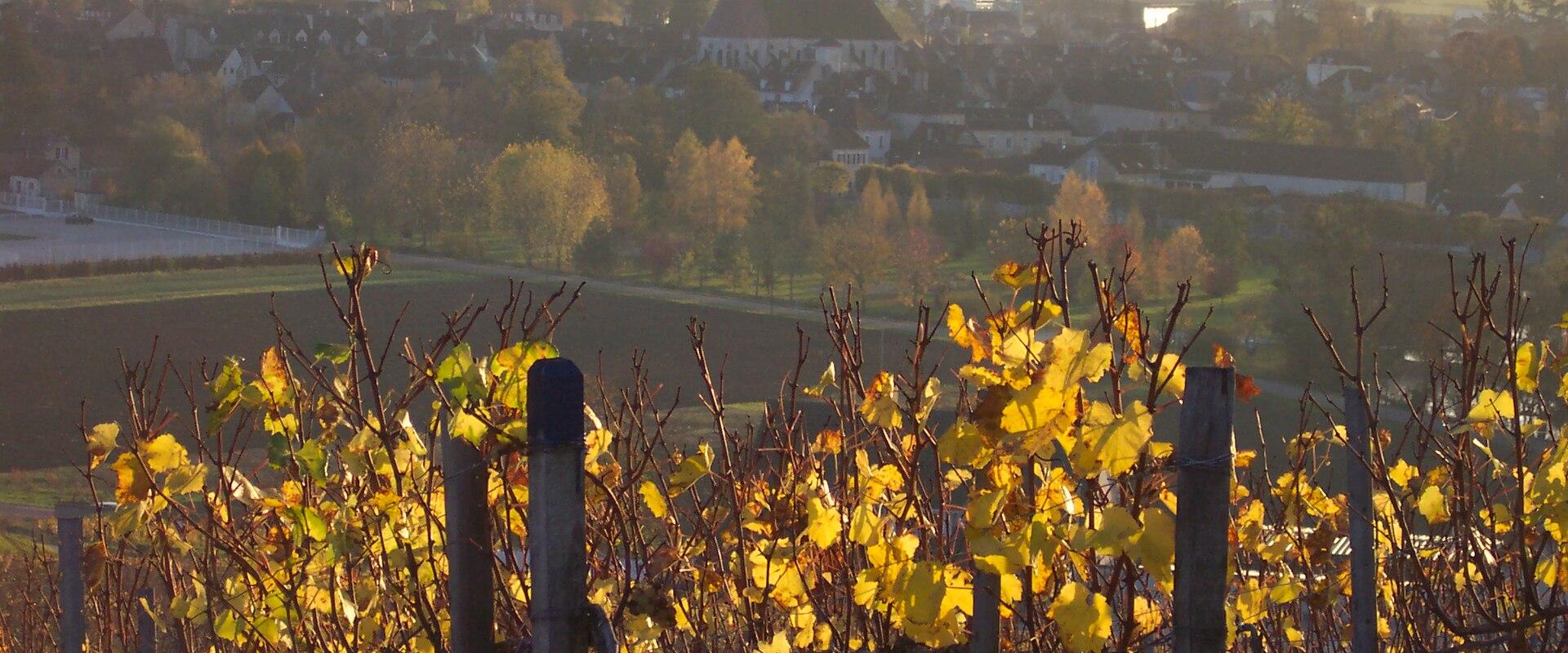 Chablis